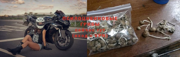 прущий лед Михайловск