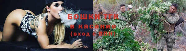 прущий лед Михайловск