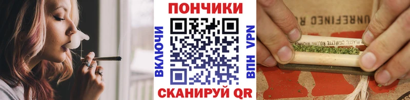где найти   Ковдор  Каннабис MAZAR 